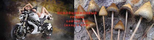 марихуана Алексеевка