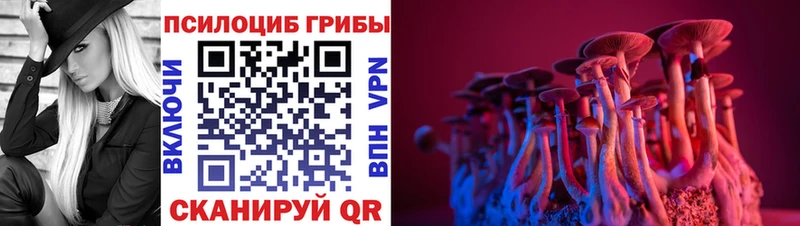 блэк спрут онион  дарнет шоп  Приморск  Псилоцибиновые грибы мухоморы 